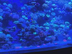 -太平洋海底世界