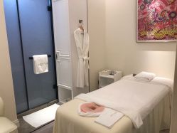 -奥斯芬欧系贵族SPA