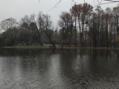 -上海共青森林公园