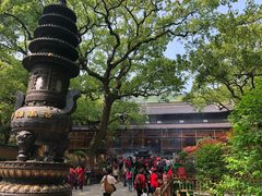 -普陀山风景名胜区-法雨禅寺