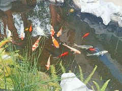 -道南書院·私房菜·早午茶·茶馆