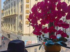 -新雅粤菜馆(南京东路店)