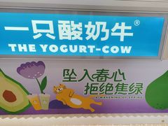-一只酸奶牛(春熙路店)