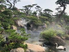 -罗红摄影艺术馆