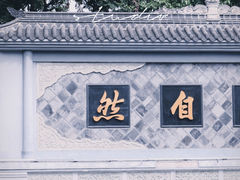 -青羊宫