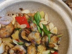 -新雅粤菜馆(南京东路店)