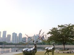 -西北湖绿化广场