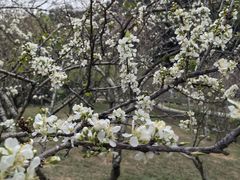 -广州市白云山风景名胜区