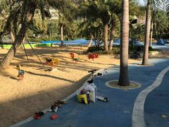 -宝安西湾红树林湿地公园