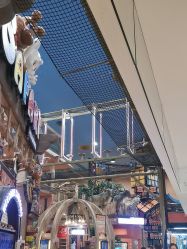 -卡通尼·Safari非洲探索乐园·生日会(金桥国际商业广场店)