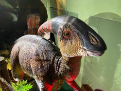 -恐龙探索乐园(磁器口店)