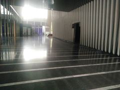-绿地新都会