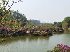 -南国桃园旅游度假区