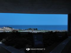 -涉地可支
