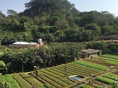 -全汁全味驴庄(凤岗店)