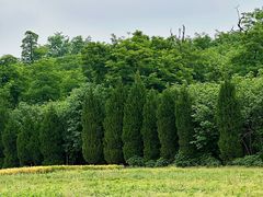 -汉长安城未央宫国家考古遗址公园