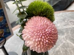 -gaga(北京新中关购物中心店)