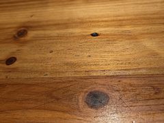 -本处·素食·融合料理(南油店)