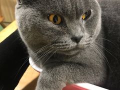 -藦茜花园宠物主题亲子互动体验馆(国顺东路店)