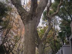 -巴金故居