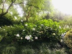 -杭州黄龙洞