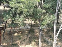 -石家庄市动物园