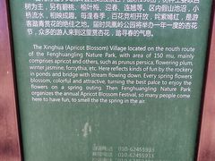 -北京凤凰岭