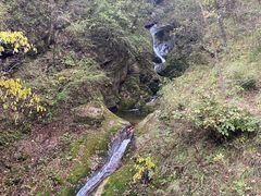 -牛背梁国家森林公园
