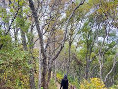 -白草畔自然风景区