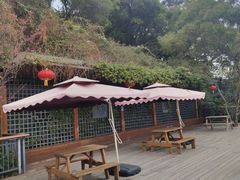 -金鸡山公园