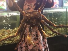 -蟹之国·精品蟹料理(极地店)