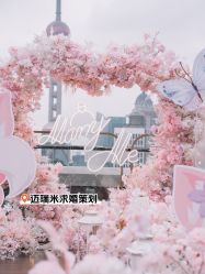 -迈瑞米求婚策划(静安店)