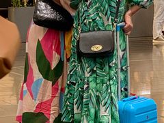 -维也纳国际机场