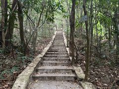 -海南热带雨林国家公园吊罗山景区