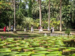 -中国科学院西双版纳热带植物园