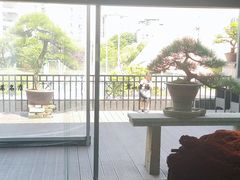 -黄山老妈·土菜(碧桂园店)
