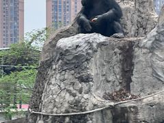 -南昌动物园