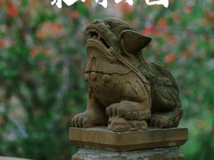 -棠湖公园