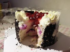 -维尔纳斯·生日蛋糕·动物奶油冰淇淋蛋糕(六里桥店)