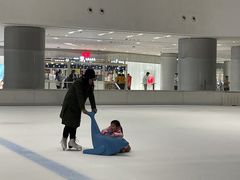 -TheRink大零溜冰场(IFS国金中心店)