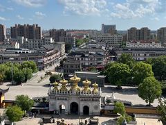 -上海东林寺(金山区)