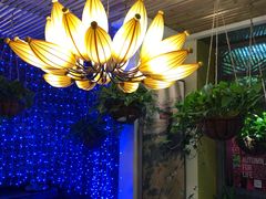 -润园四季椰子鸡火锅(海上世界店)