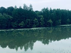 -东湖落雁景区