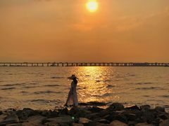 -宝安西湾红树林湿地公园