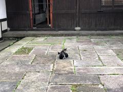 -法云安缦酒店