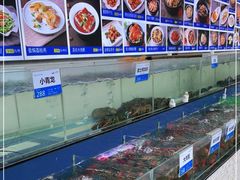 水产区-欢乐海岸美食联盟