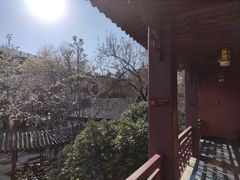 -郑和公园