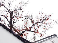 -北寺塔