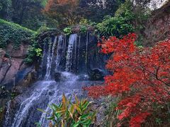 -岳麓山风景名胜区