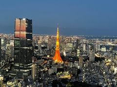 -六本木新城展望台(东京城市景观)